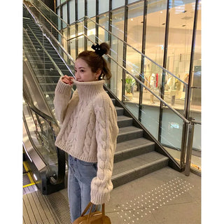 Cable Cropped Turtleneck Knit
