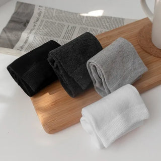 sp-13 knee-high socks (4 colors)