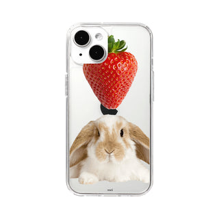 [MADE] bunny jelly hard case