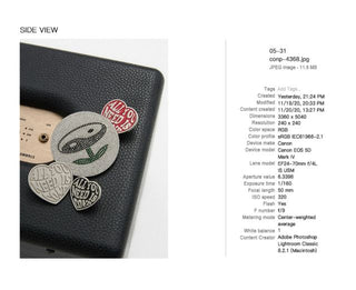 CONP 24SS Diamond Of Citizen Metal Badge