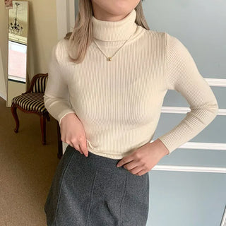 Ribbed turtleneck knit