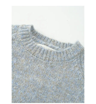 Mixed Color Basic Knit