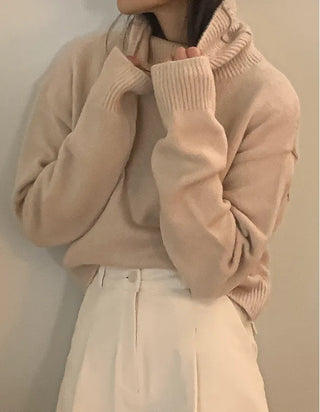 Turtleneck long-sleeved knit