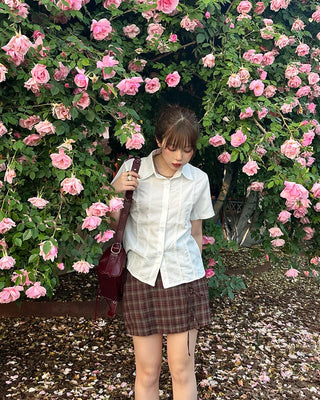 Lace pintuck short-sleeved blouse