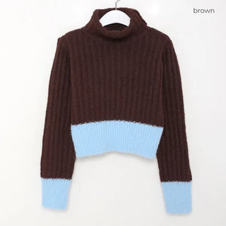 Ribbed two-tone turtleneck knit