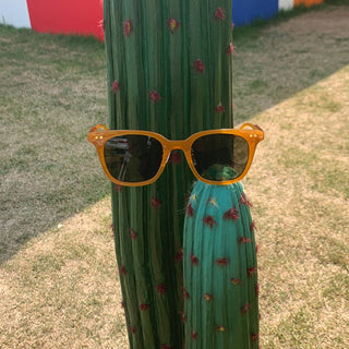 Camel Sunglasses (2 colors)
