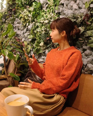Round neck crop knit