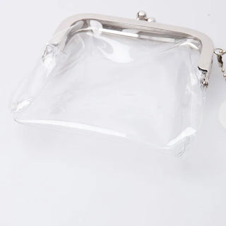 Clear coin case