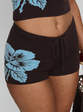 Surfer Girl Knit Shorts Brown  Blue