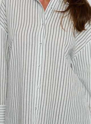 Alexi Long Sleeve Button Down Top Blue  Brown Stripe