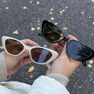 Cat sunglasses