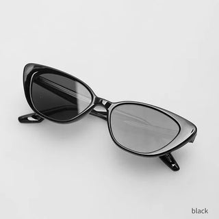 Cat sunglasses