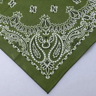 Paisley bandana