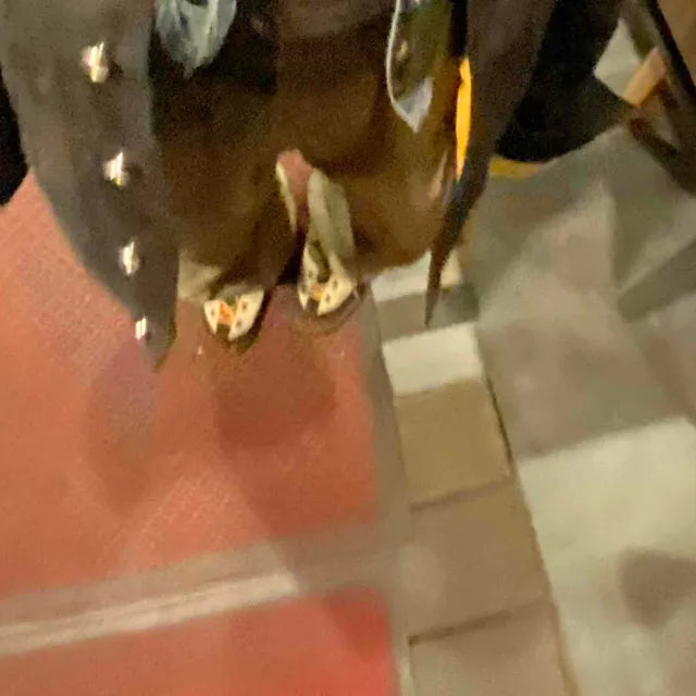 Review image