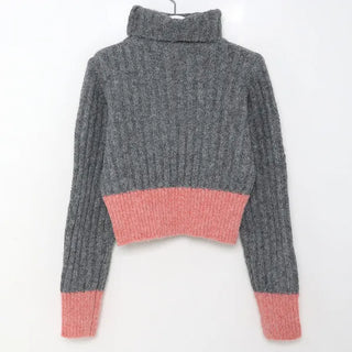 Ribbed two-tone turtleneck knit