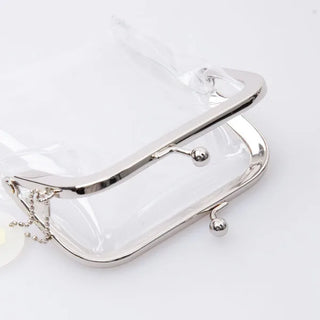 Clear coin case