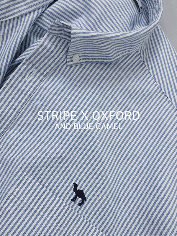 Camel Embroidered Striped Oxford Shirt