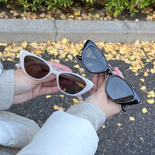 Cat sunglasses