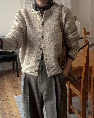 A+ Premium Wool Viscose Pleated Winter Slacks