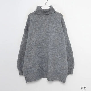 Turtleneck knit dress