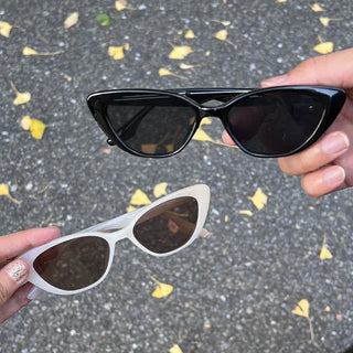 Cat sunglasses
