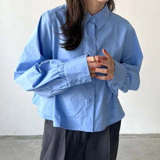 Back pleated blouse