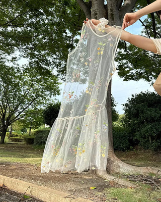 Flower embroidered sheer midi dress