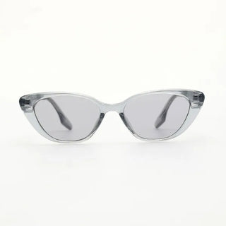 Cat sunglasses