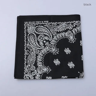 Paisley bandana