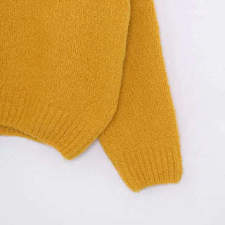 color wool knit