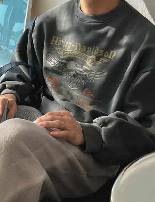 Eagle Pigment Brushed Sweatshirt (2 colors)