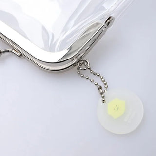 Clear clasp pouch