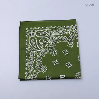 Paisley bandana
