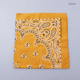 Paisley bandana