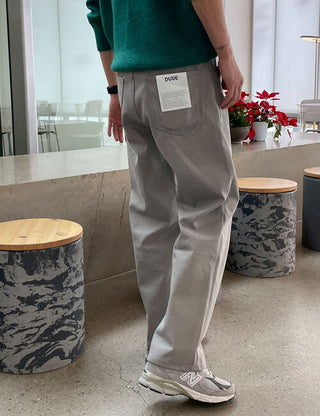 Allen Pigment Brushed Pants (4 colors)