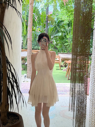 [2 colors] Lavien Halter Chiffon Dress
