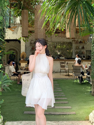 [2 colors] Lavien Halter Chiffon Dress