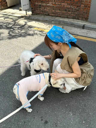 [3 colors] Multi-pocket nylon vest