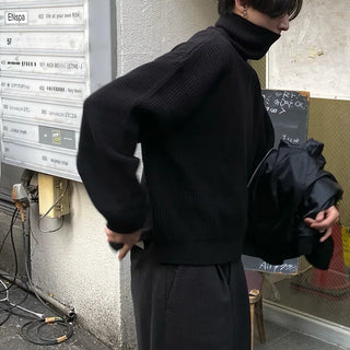 Warmer turtleneck knit