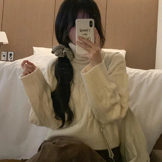 Twisted turtleneck knit