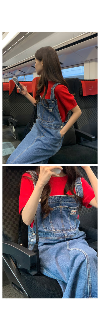 Overall denim dress