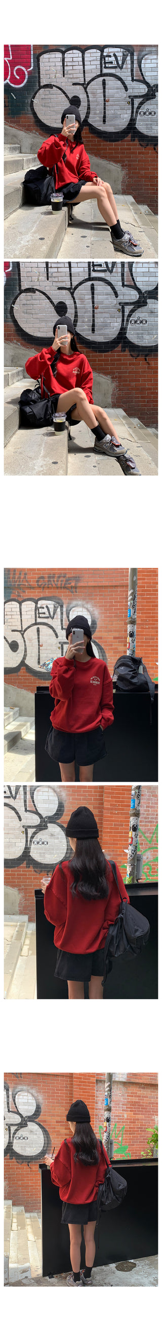 Rika Sweatshirt (5 colors)
