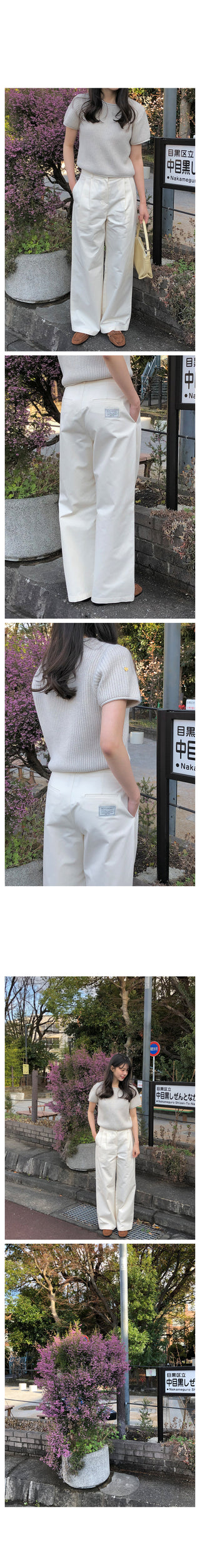 Pleated Chino Pants