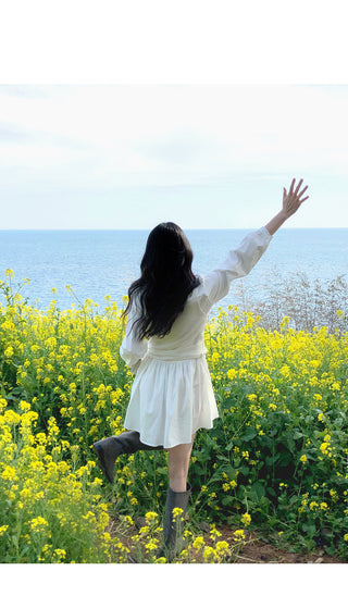 Pleated collar dress