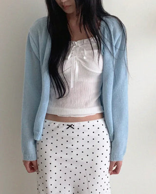 Midi Long Sheer Skirt
