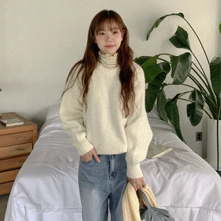 Basic Round Knit