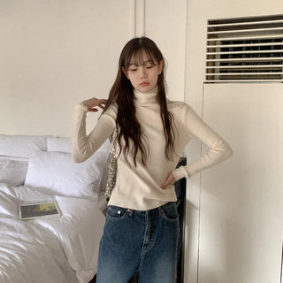 Turtleneck knit
