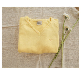 (6 colors) High-quality cotton V-neck knit