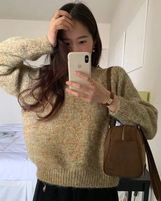 Mixed Color Basic Knit