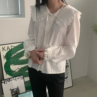 Lace collar blouse